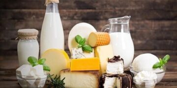 رازهای لبنیات: کدام مفید و کدام دشمن سلامتی شماست؟