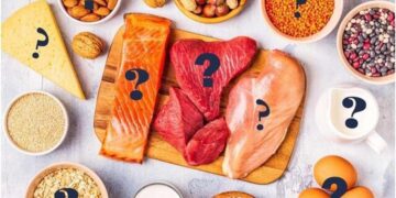 بدن چه مقدار پروتئین نیاز دارد؟